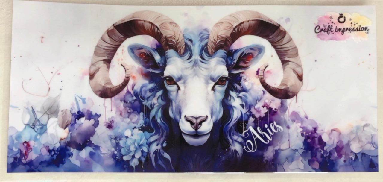 Aries Waterproof Sticker