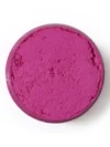 New Decorative Sculpture Painting Fuchsia
